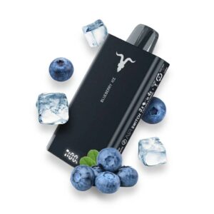 VAPER IGNITE V400 40K – Blueberry